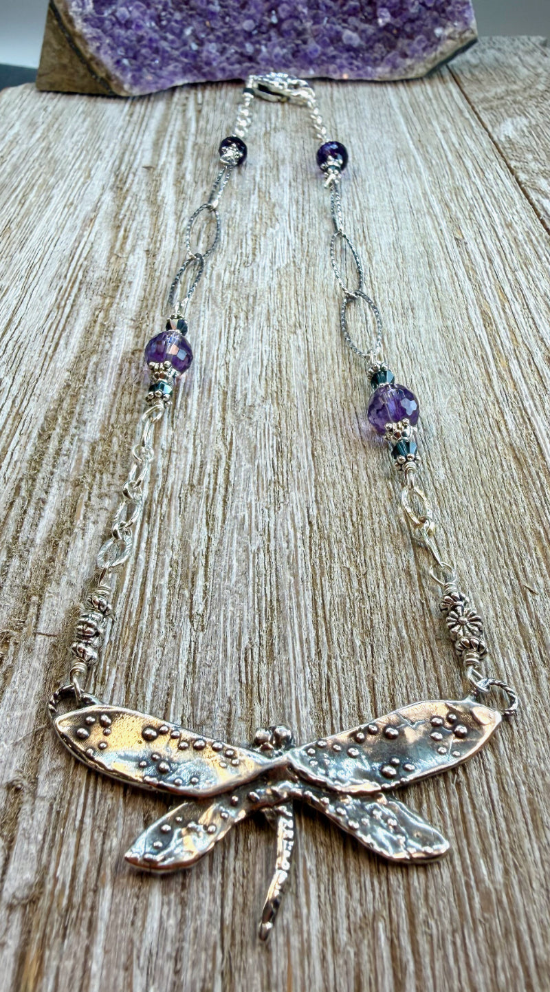 The Dazzling Dragonfly