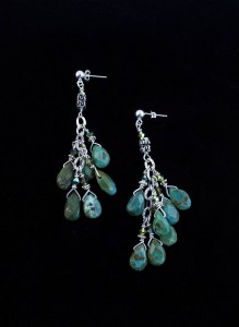 Exotic Turquoise Earrings Image