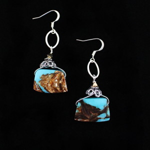 Native American Pride Earrings